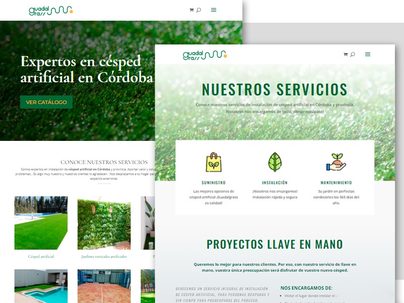 PROYECTO GUADALGRASS