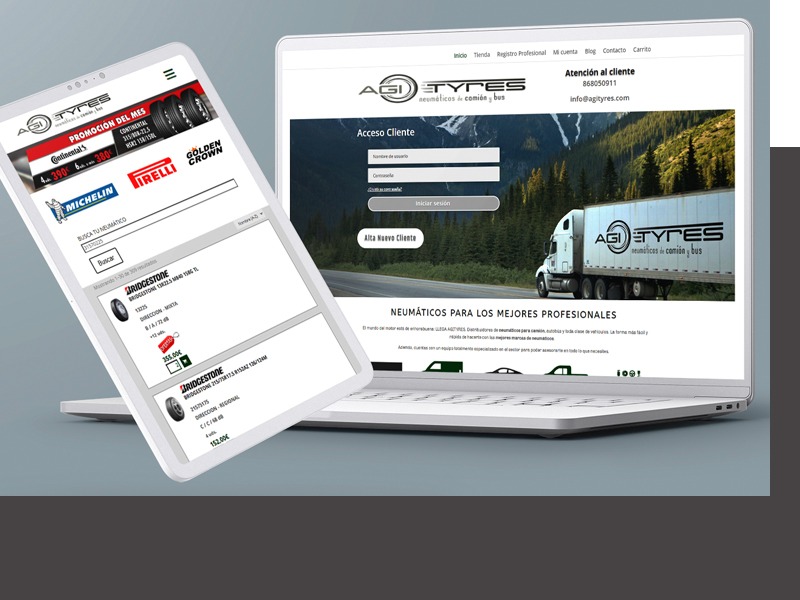 PROYECTO AGITYRES PROYECTO AGITYRES
