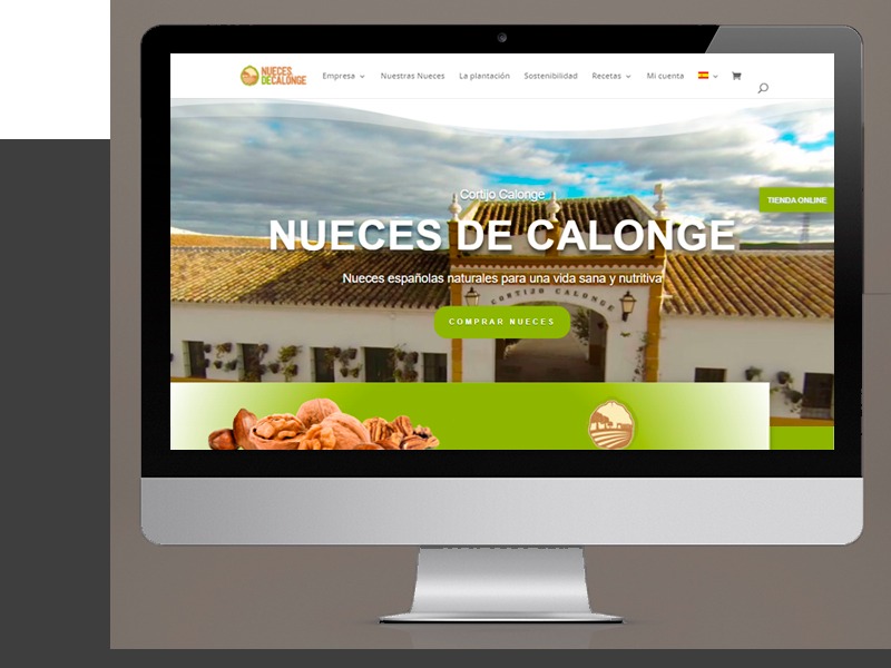 PROYECTO NUECES CALONGE PROYECTO NUECES CALONGE